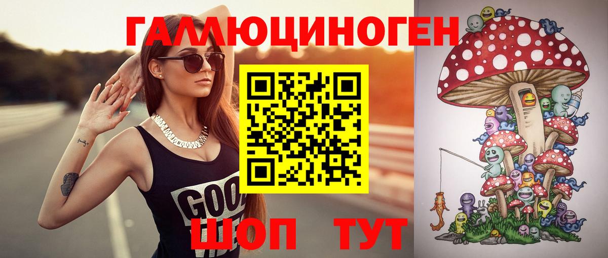 Чернушка  Псилоцибиновые грибы Psilocybe  Вход с VPN  Галлюциногенные грибы Psilocybine cubensis 